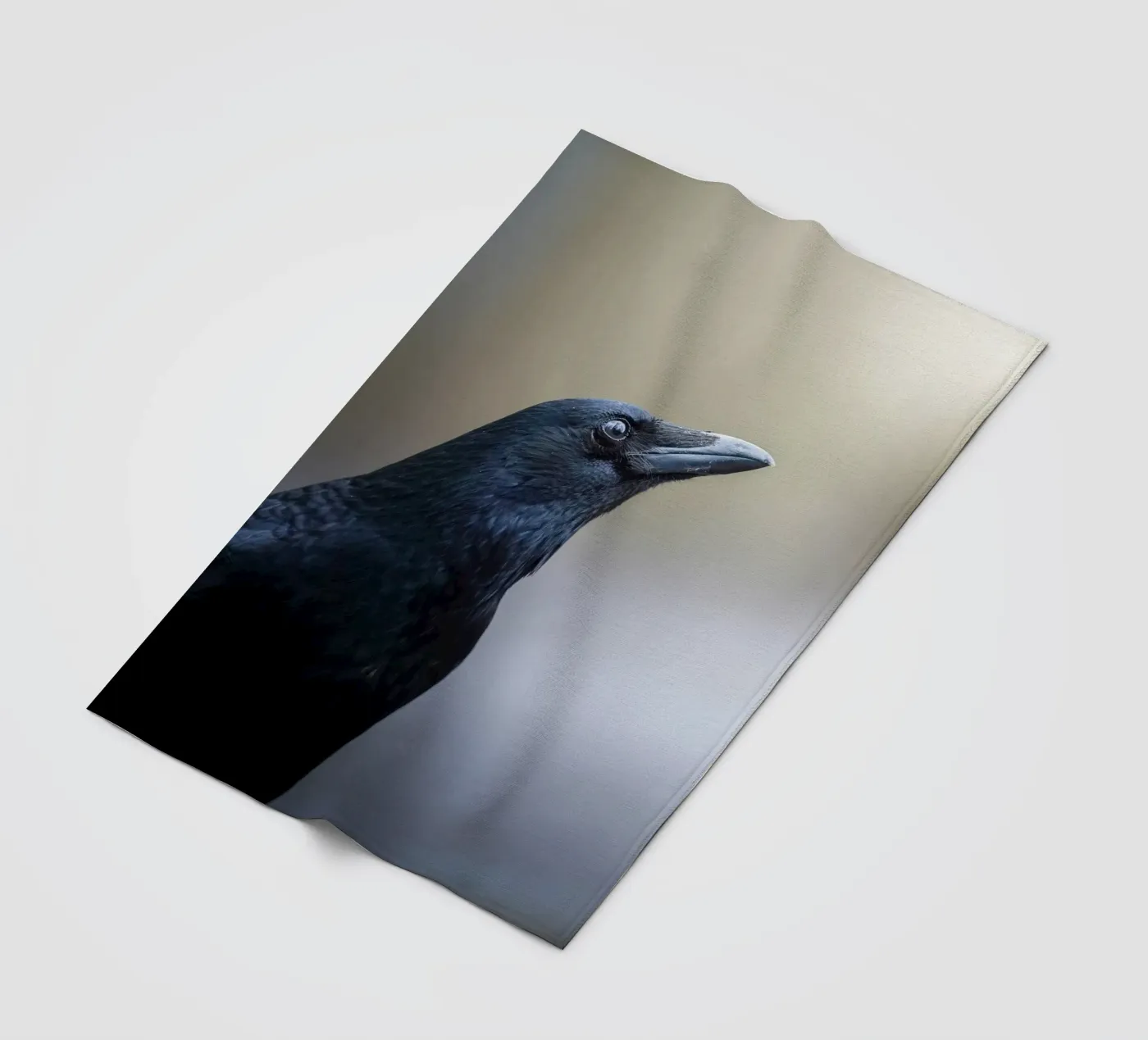 Crow fleece blanket by Tom's Wildlife