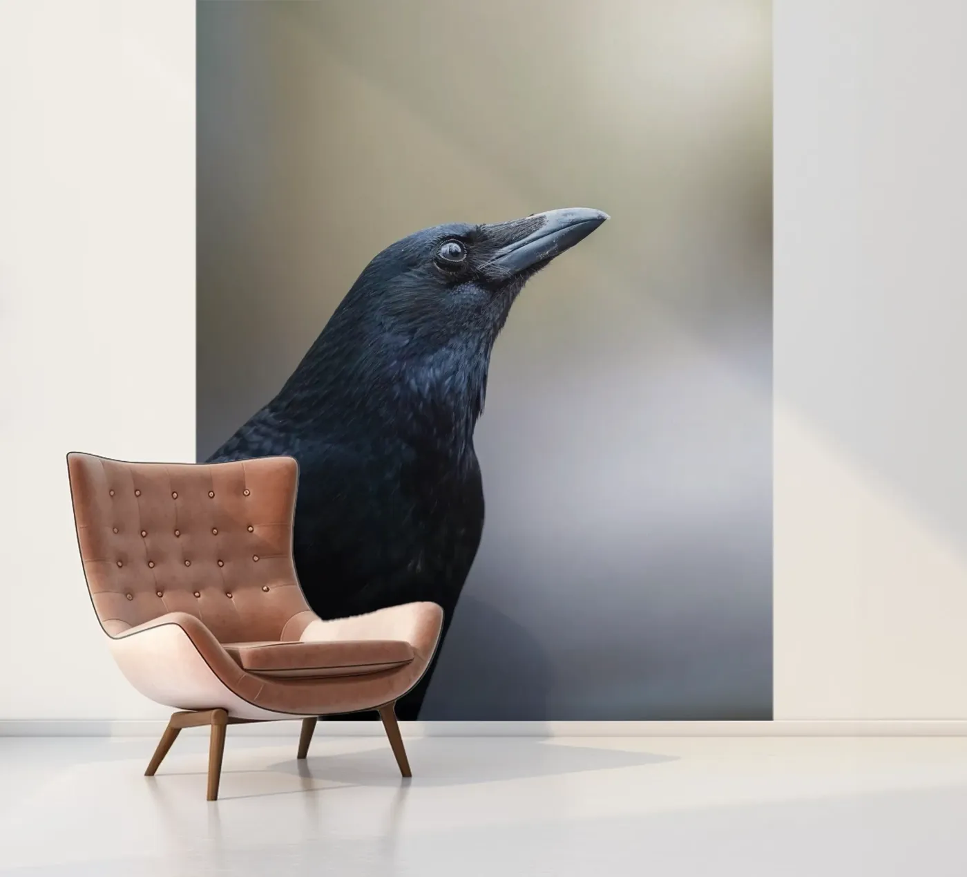 Crow papier peint photo de Tom's Wildlife