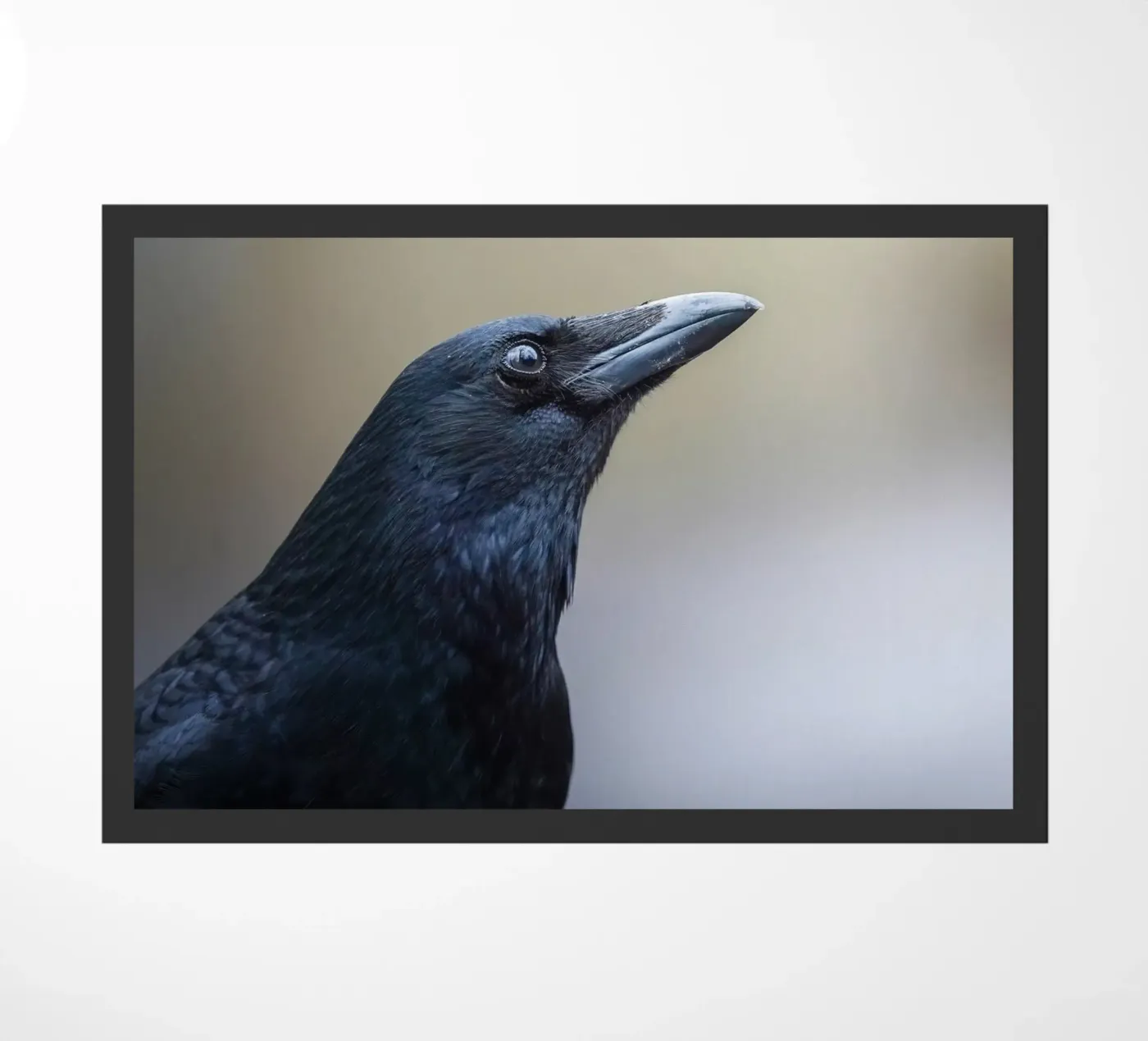 Crow doormat by Tom's Wildlife