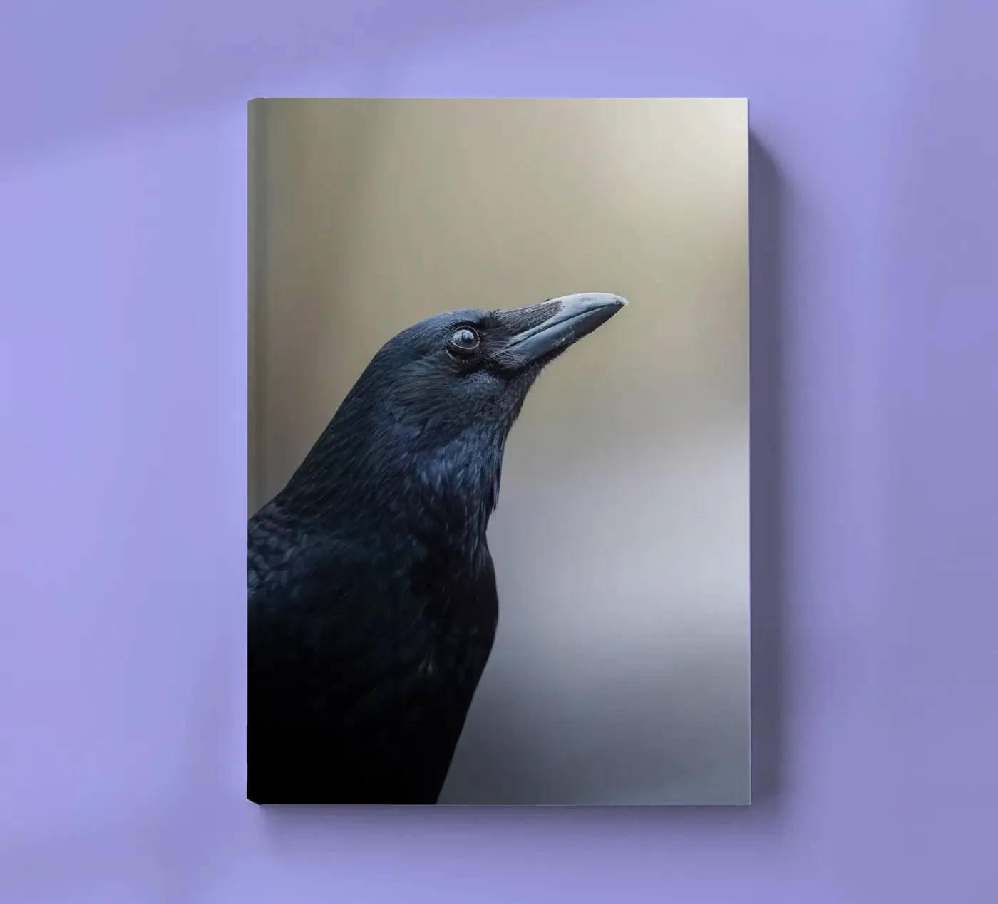 Crow notebook by Tom's Wildlife