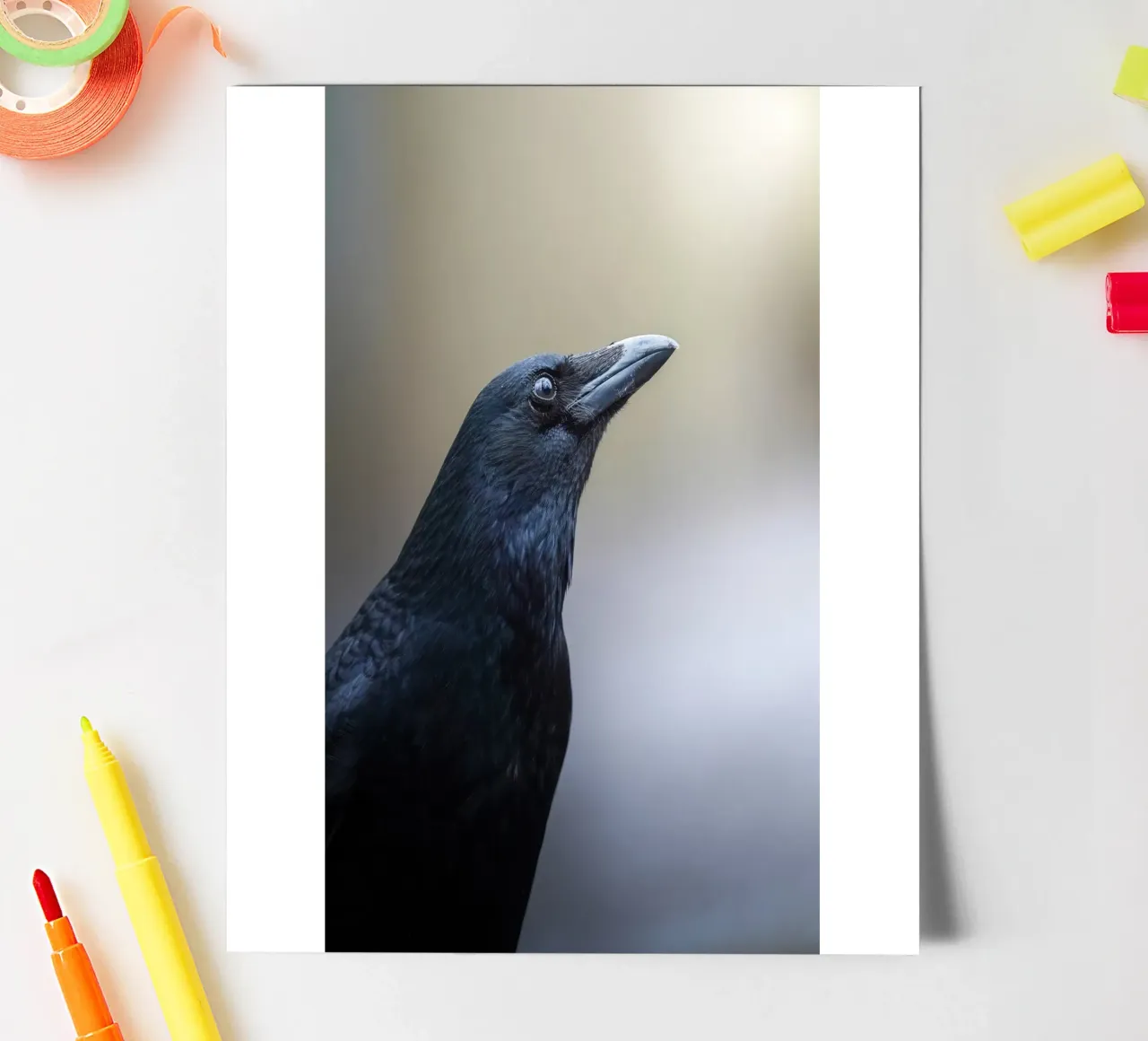 Crow sticker sheet by Tom's Wildlife