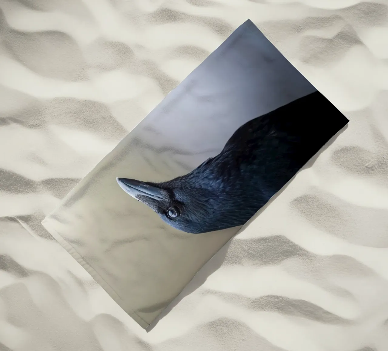 Corvo telo mare da Tom's Wildlife