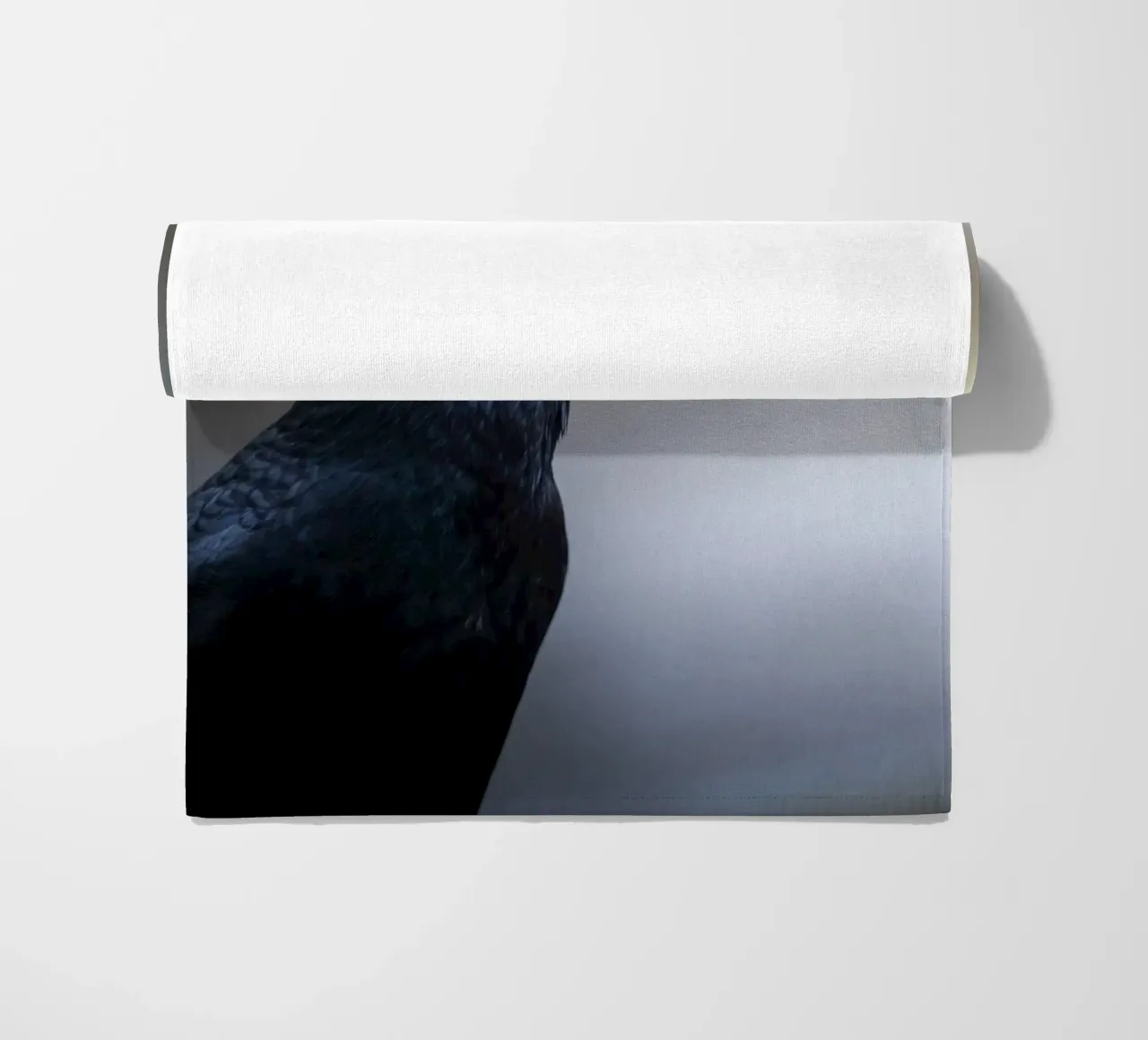 Corvo telo mare da Tom's Wildlife