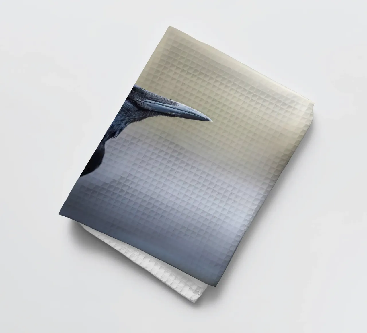 Crow torchon de Tom's Wildlife