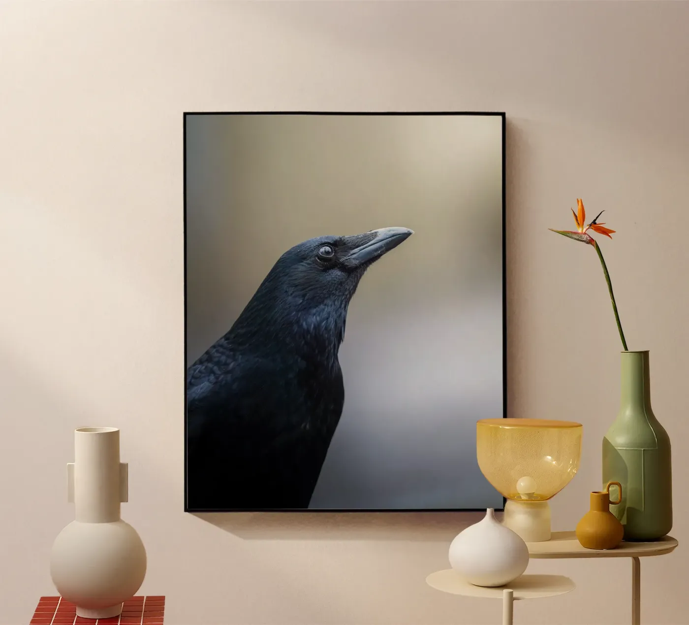 Crow plexiglass da Tom's Wildlife