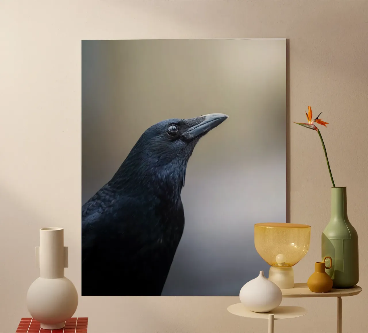 Corvo plexiglass da Tom's Wildlife