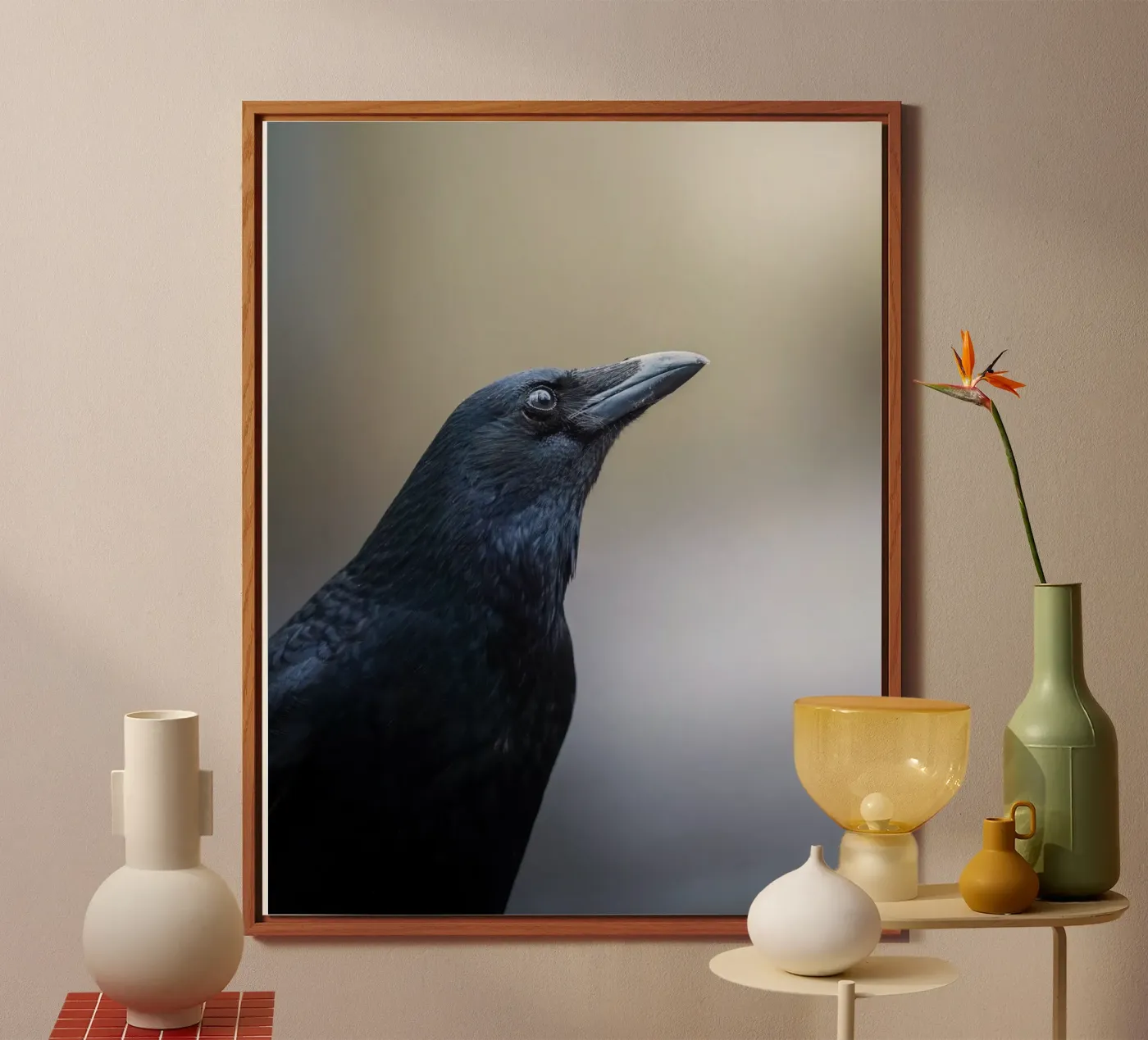 Crow forex plate by Tom's Wildlife