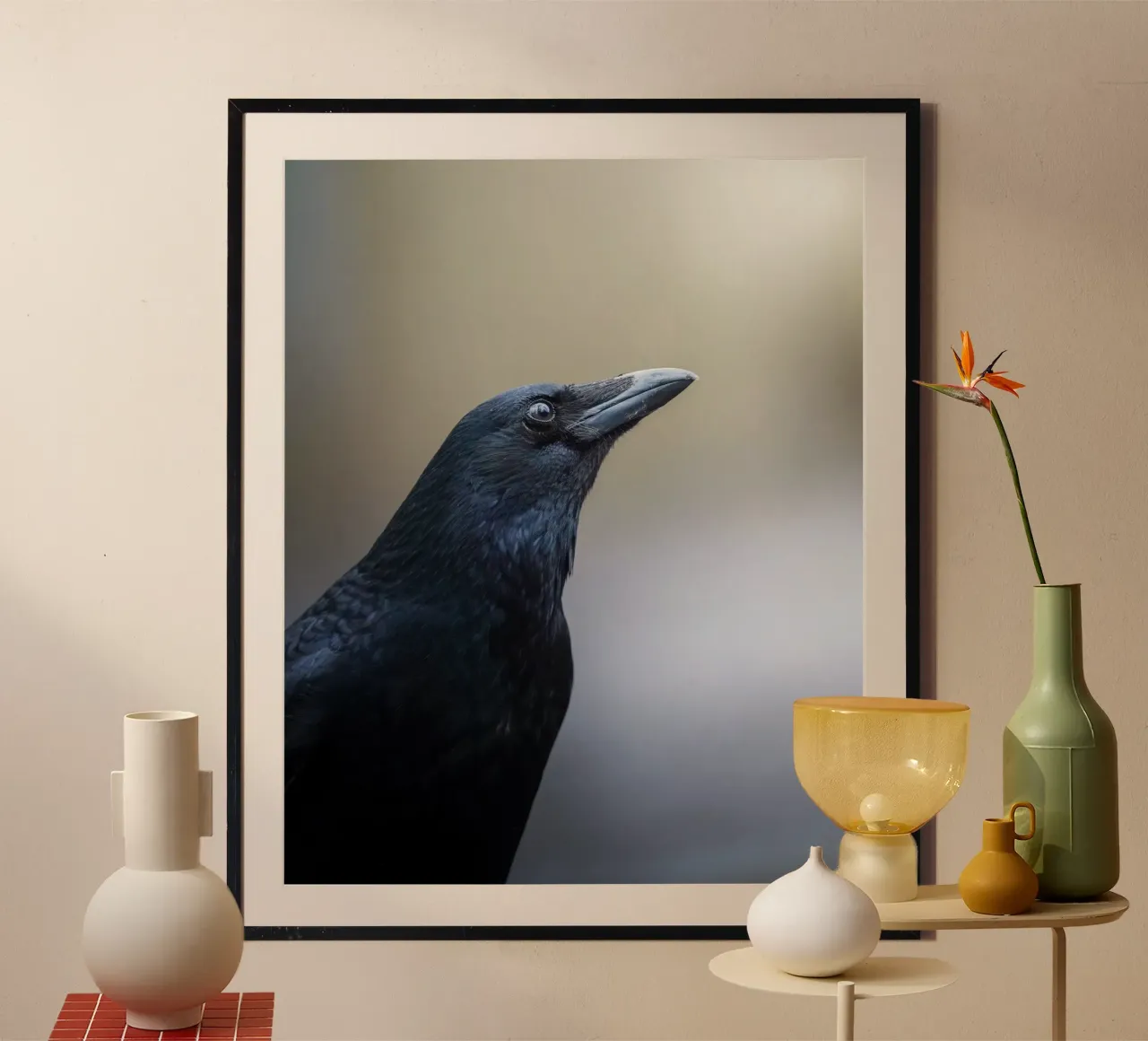 Corvo poster da Tom's Wildlife