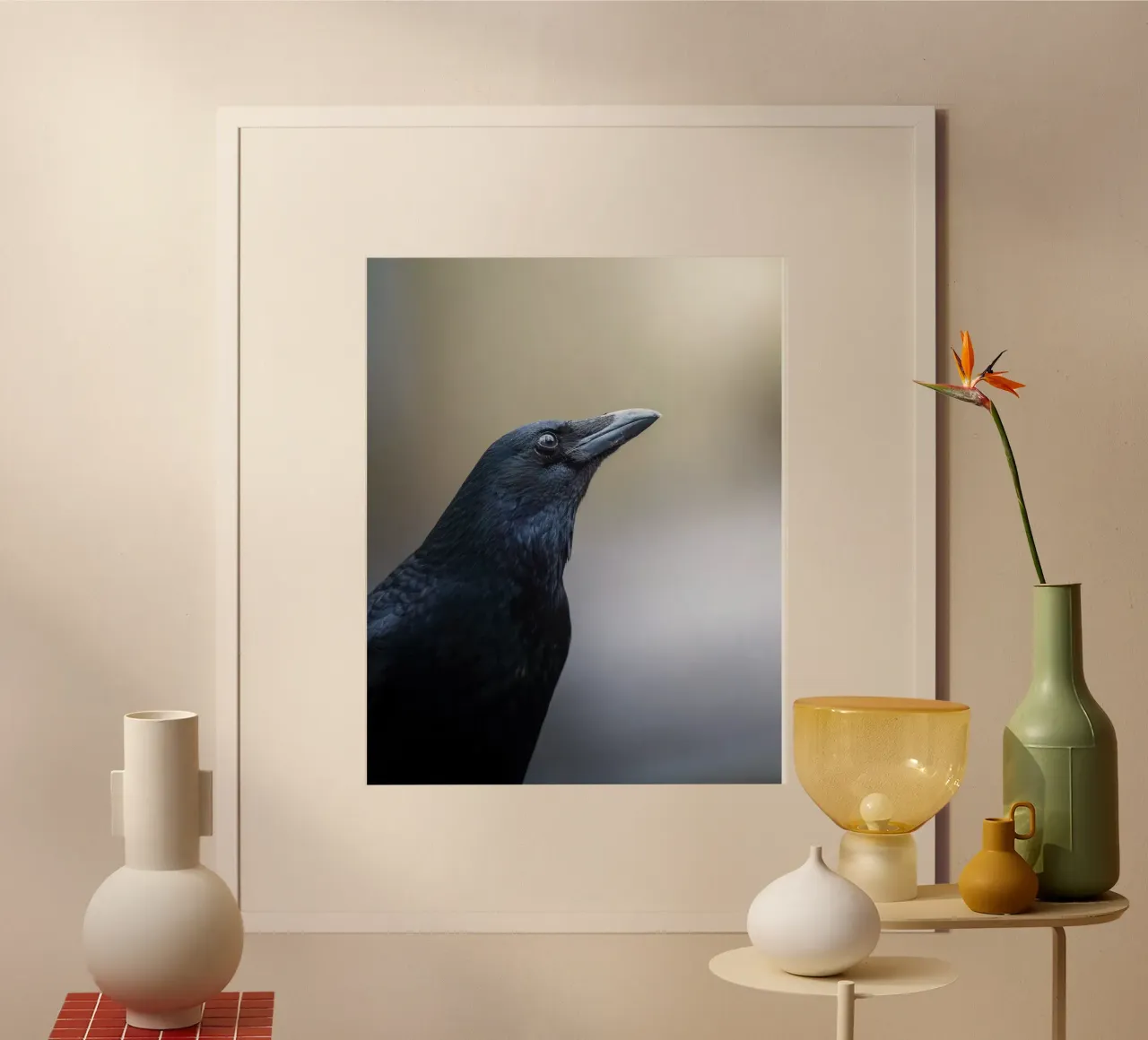 Corvo poster da Tom's Wildlife