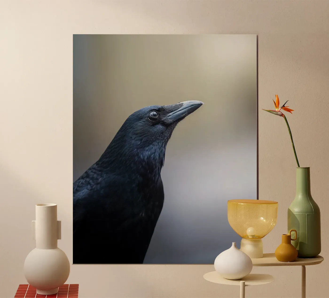 Krähe Poster von Tom's Wildlife