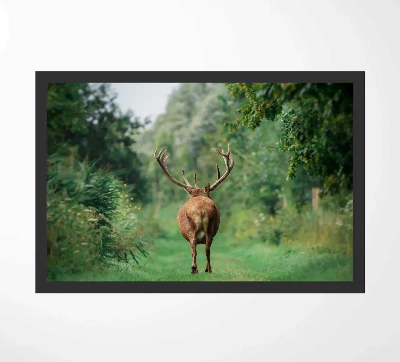 Partite con stile! zerbino da Tom's Wildlife