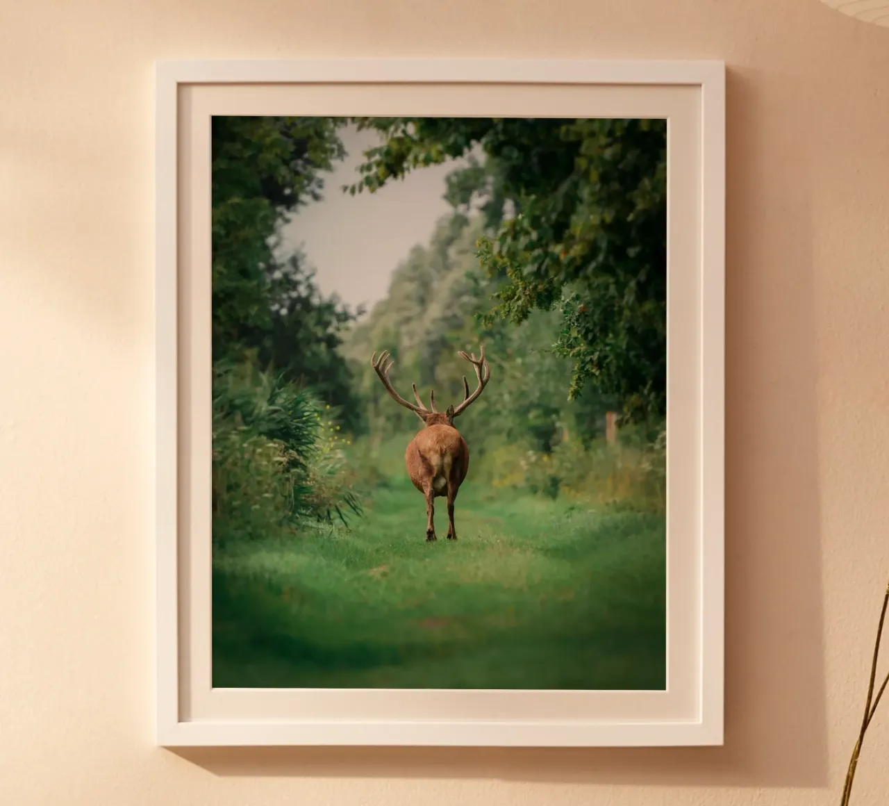 Partite con stile! poster da Tom's Wildlife