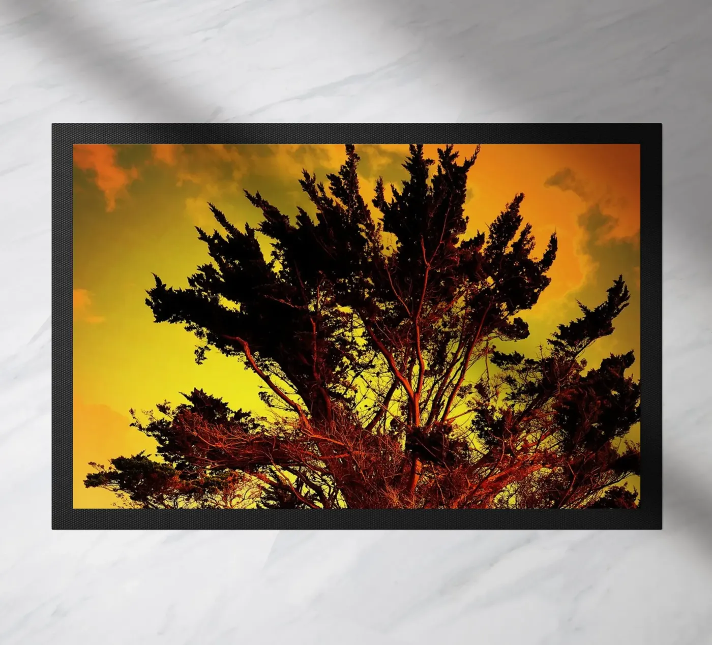 FAA122 zerbino da Thierry vobmann photography