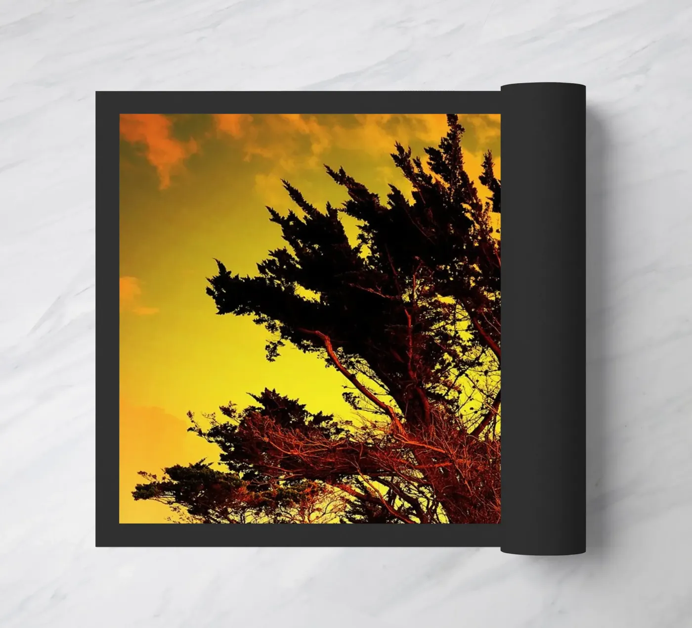 FAA122 zerbino da Thierry vobmann photography