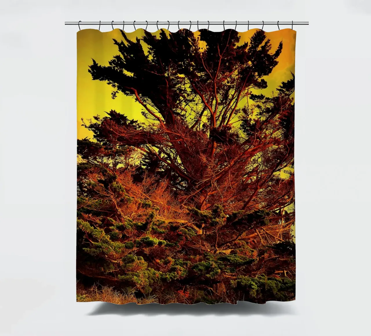 FAA122 shower curtain by Thierry vobmann photography