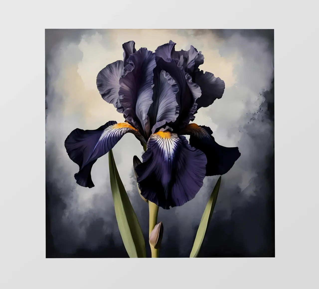 Iris nero pellicola backlit da Artistic-shop