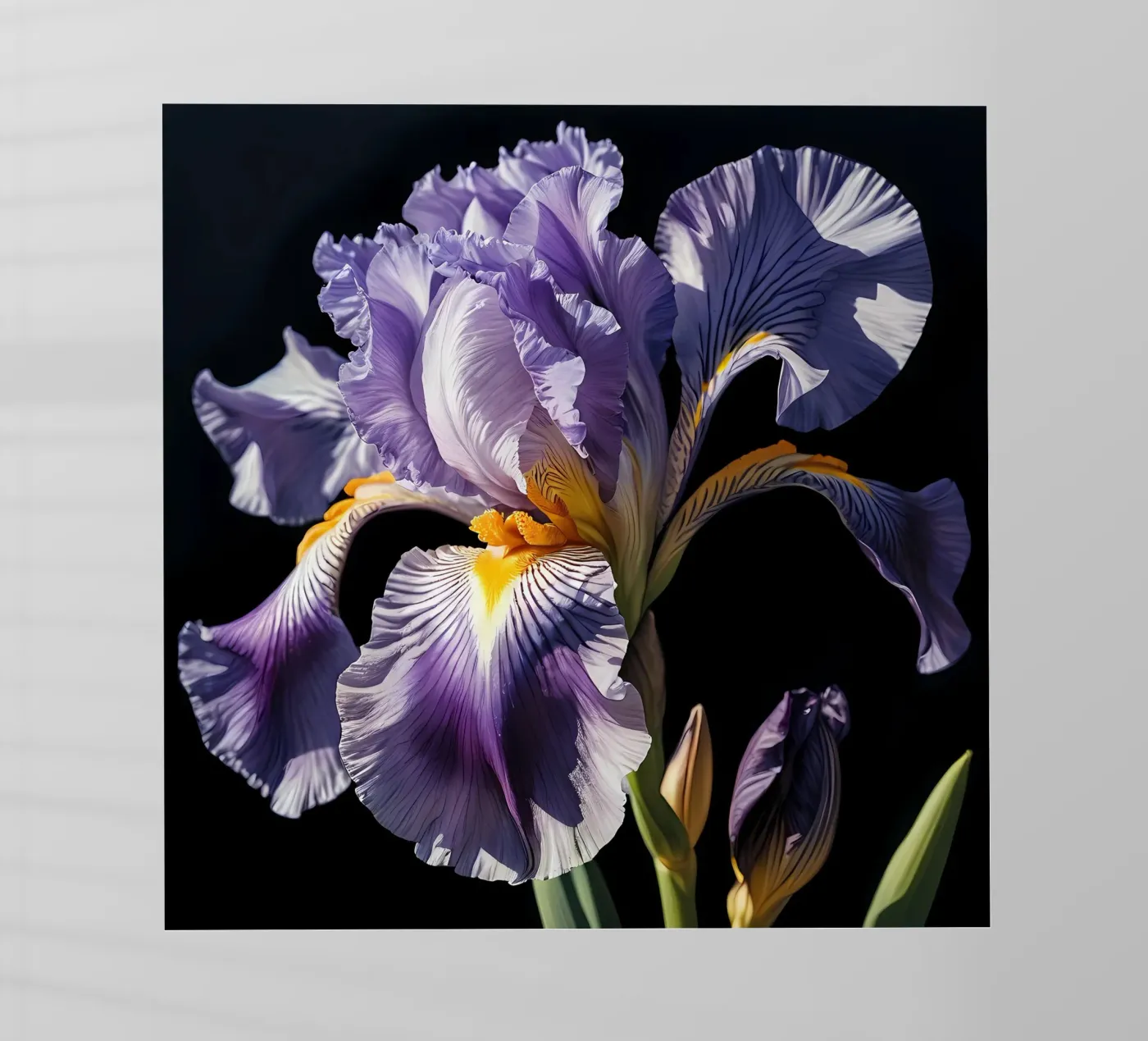 Iris Elegance pellicola backlit da Artistic-shop