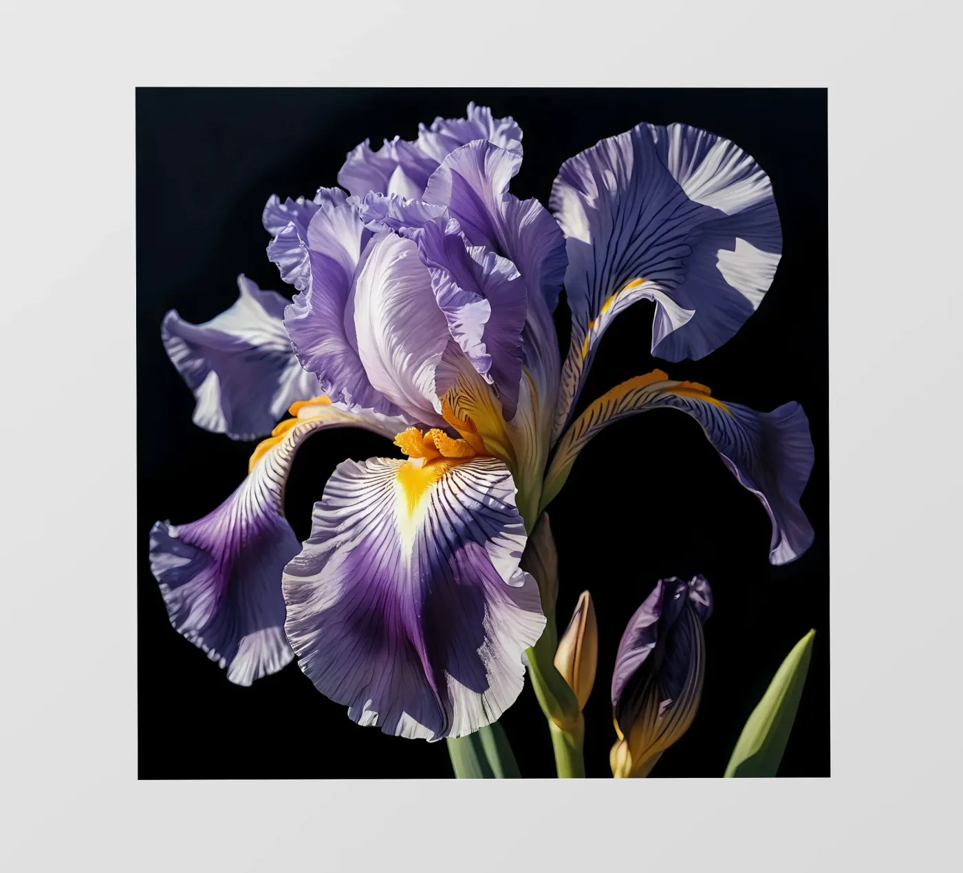 Iris Elegantie fotobehang van Artistic-shop