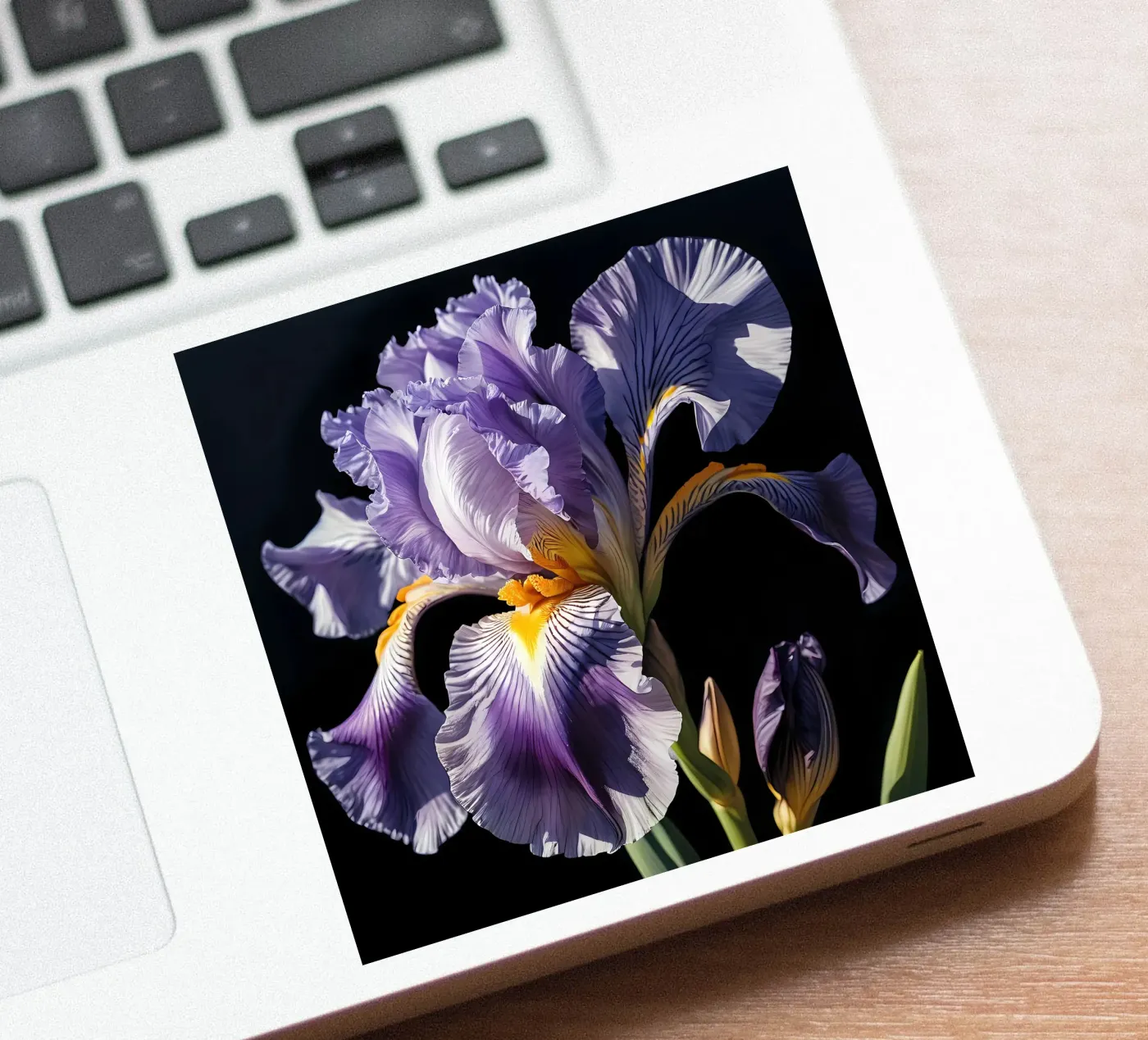 Iris Elegance sticker by Artistic-shop