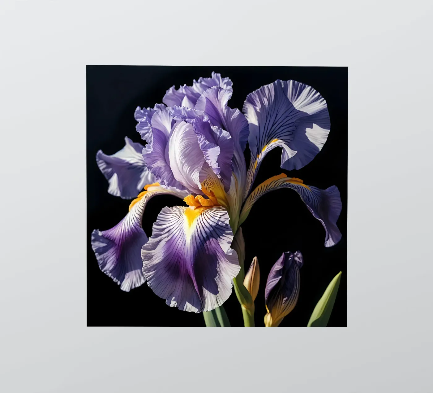 Iris Elegance sticker by Artistic-shop
