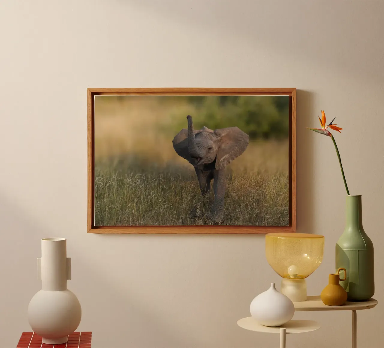 Elefante bambino tela con Cornice a cassetta da Tom's Wildlife