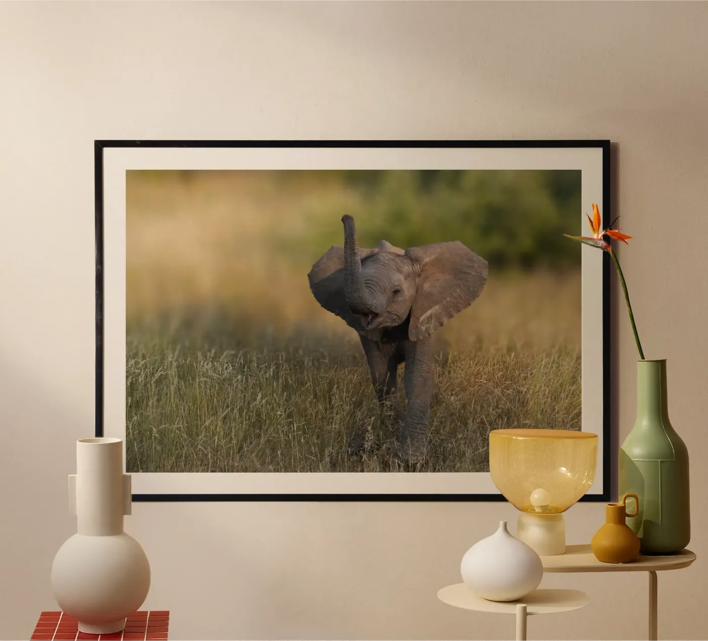 Bébé éléphant poster de Tom's Wildlife