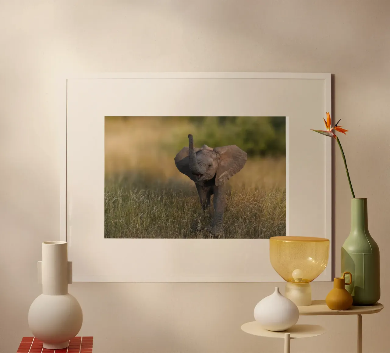 Elefante bambino poster da Tom's Wildlife