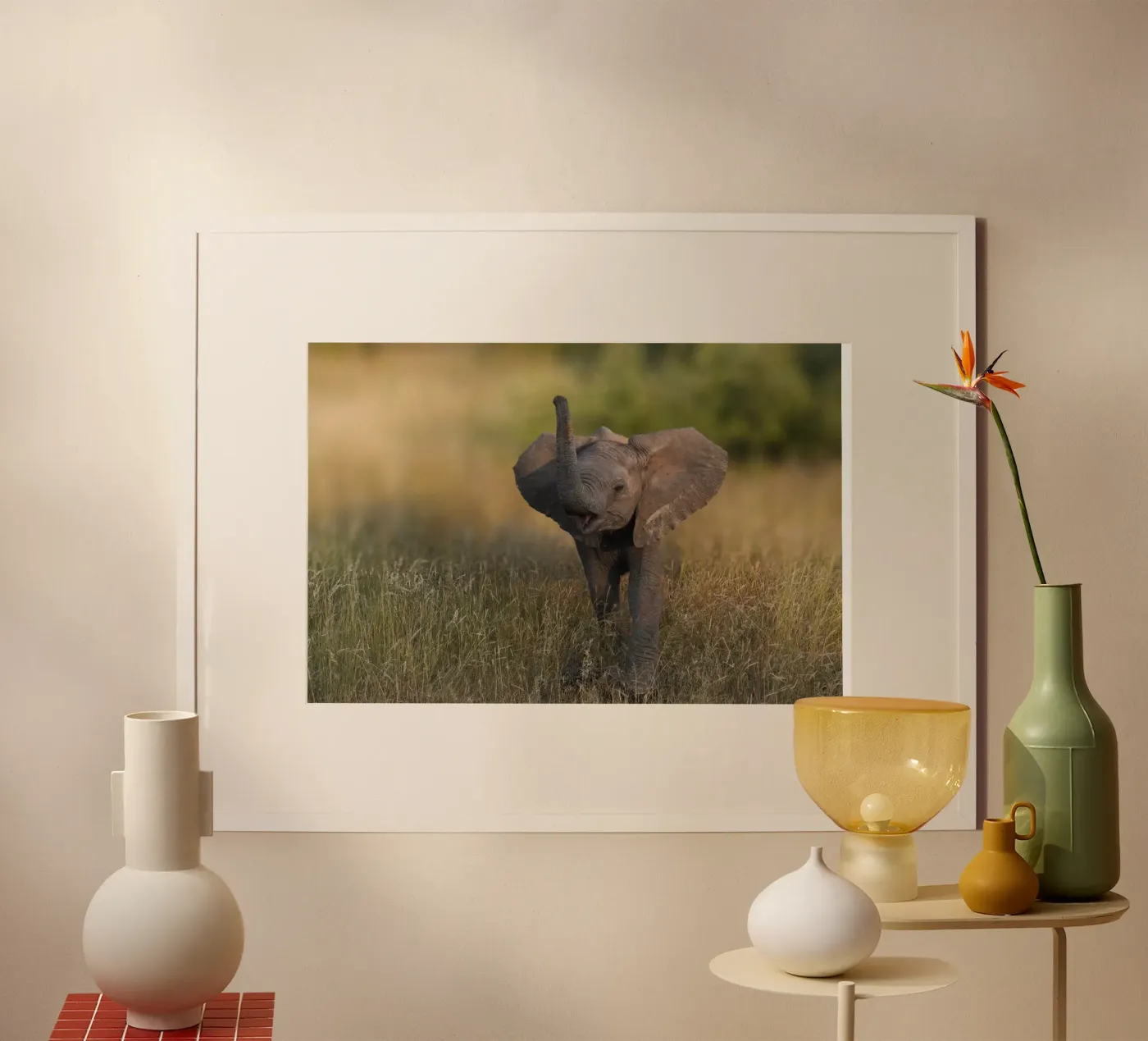 Bébé éléphant poster de Tom's Wildlife