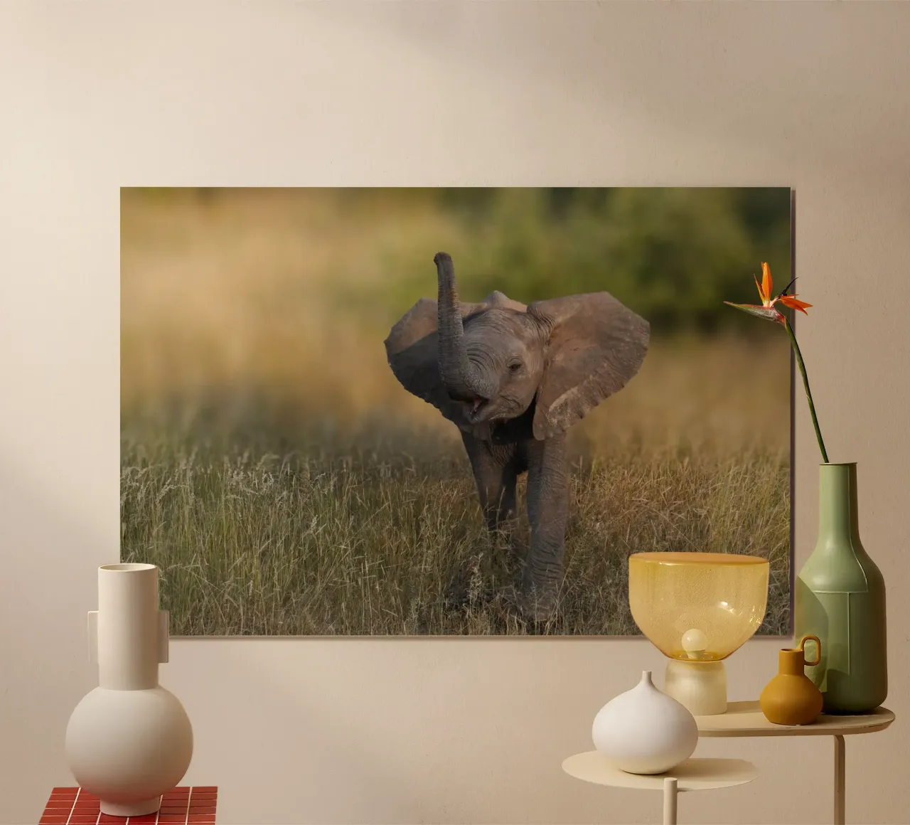 Elefante bambino poster da Tom's Wildlife