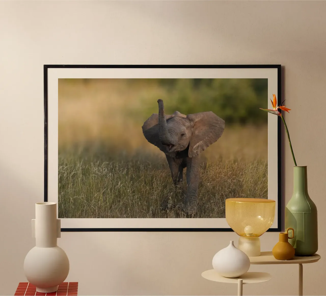 Elefante bambino poster da Tom's Wildlife