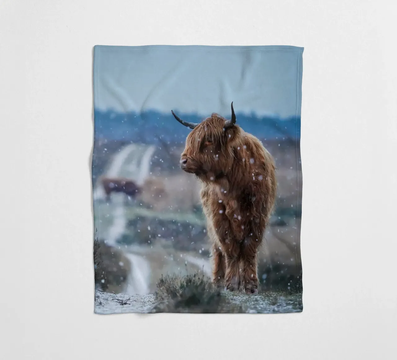 Mucca Highland nella neve coperta in pile da Tom's Wildlife