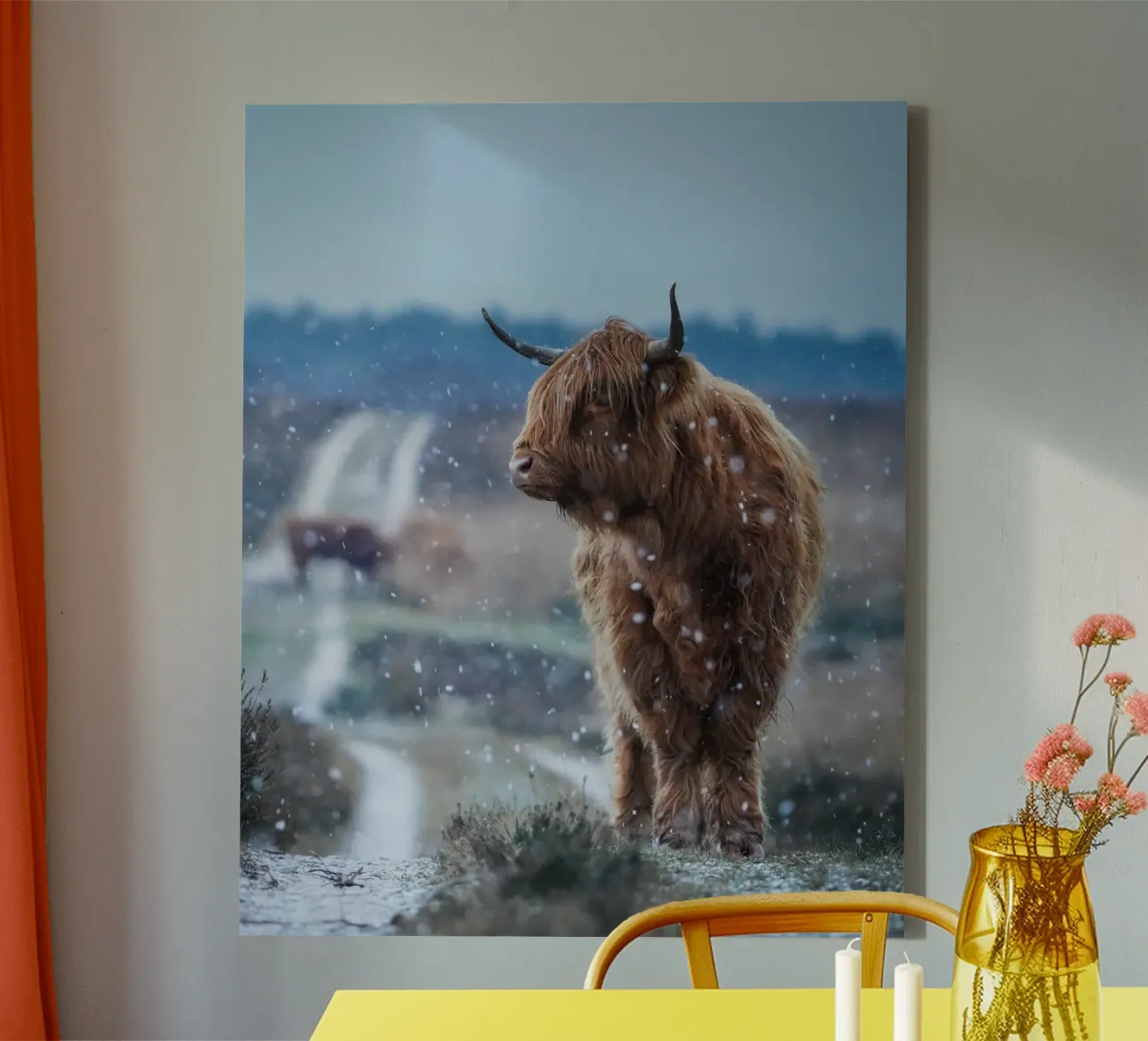 Mucca Highland nella neve tela con Cornice a cassetta da Tom's Wildlife