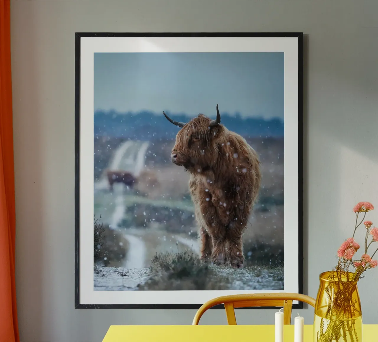 Mucca Highland nella neve carta hahnemühle da Tom's Wildlife