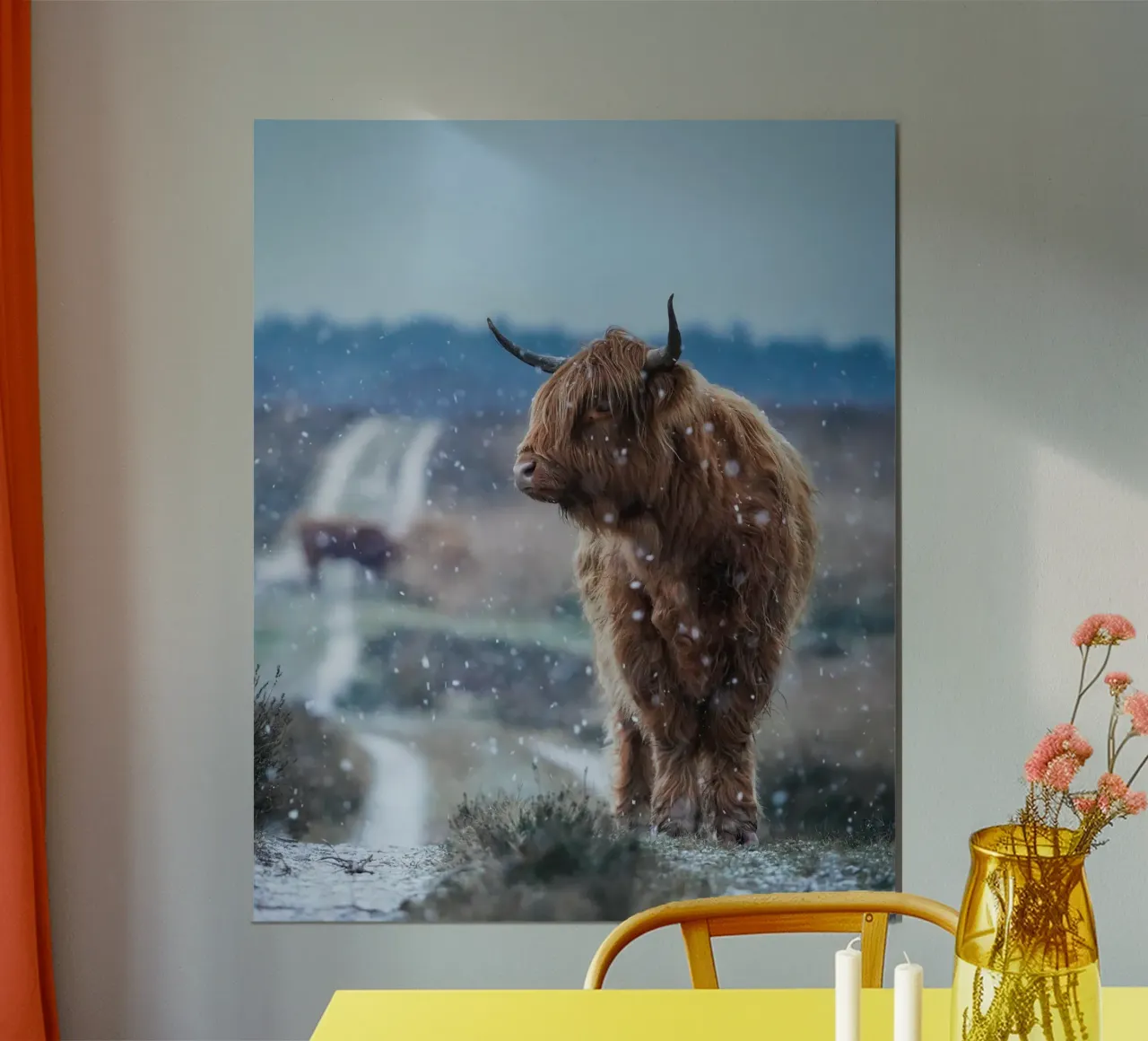 Mucca Highland nella neve carta hahnemühle da Tom's Wildlife