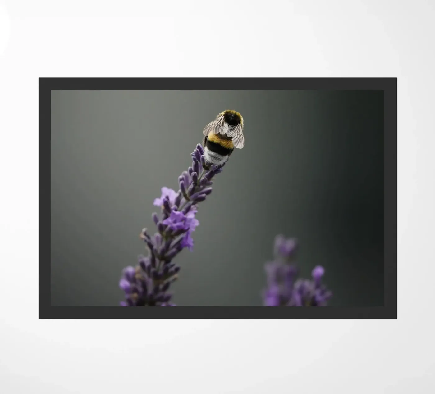 Hommel deurmat van Tom's Wildlife