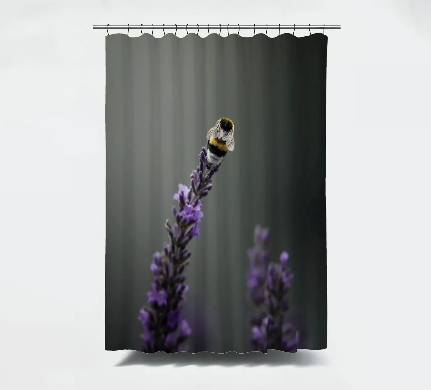 Hummel Duschvorhang von Tom's Wildlife