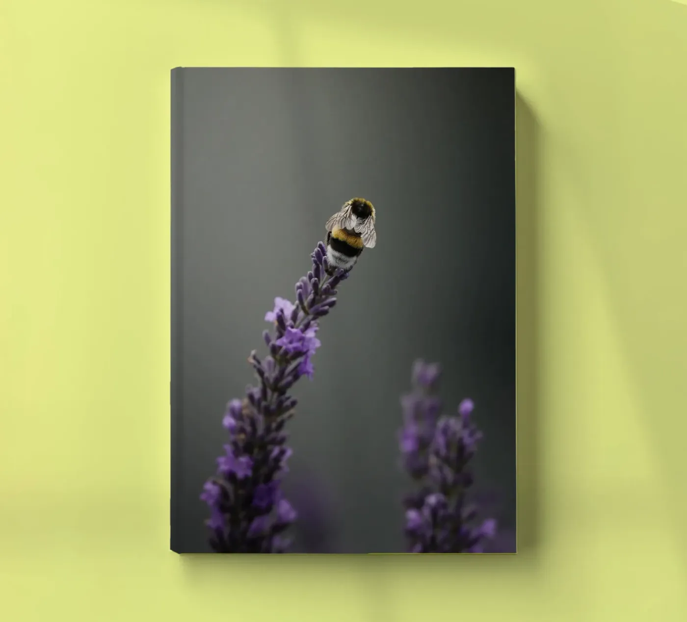 Bumblebee notebook by Tom's Wildlife