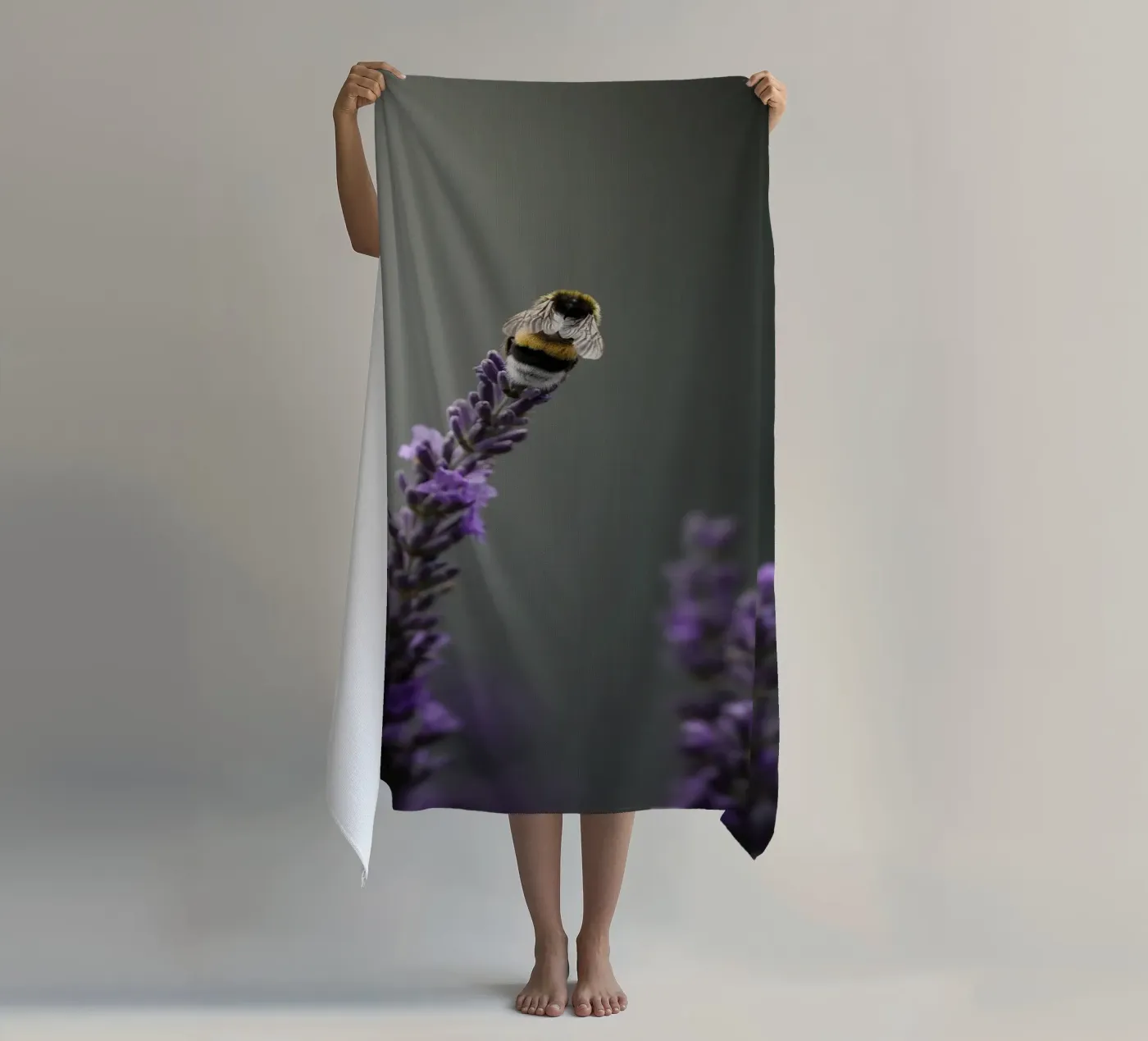 Calabrone telo mare da Tom's Wildlife