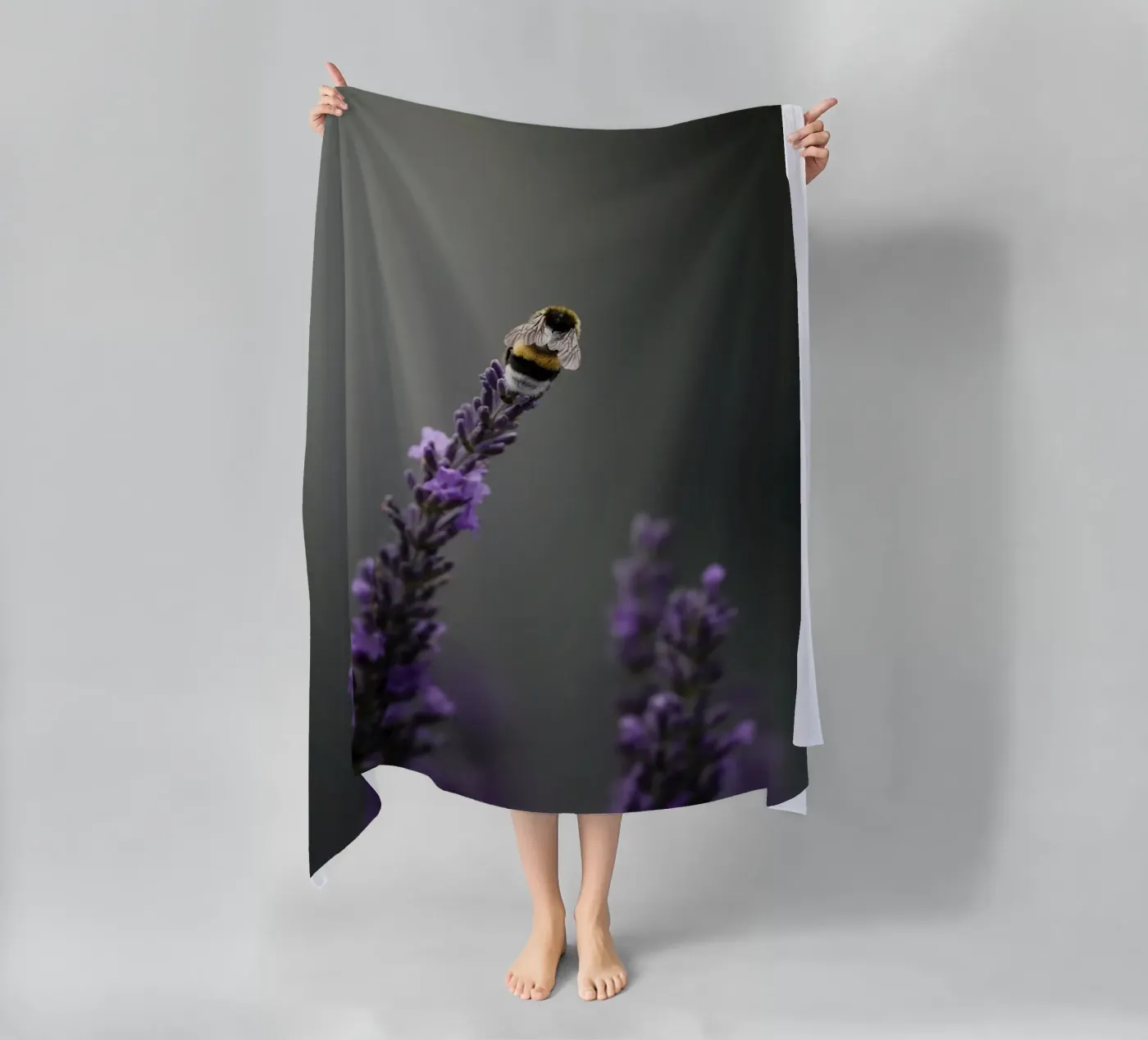 Calabrone telo mare da Tom's Wildlife