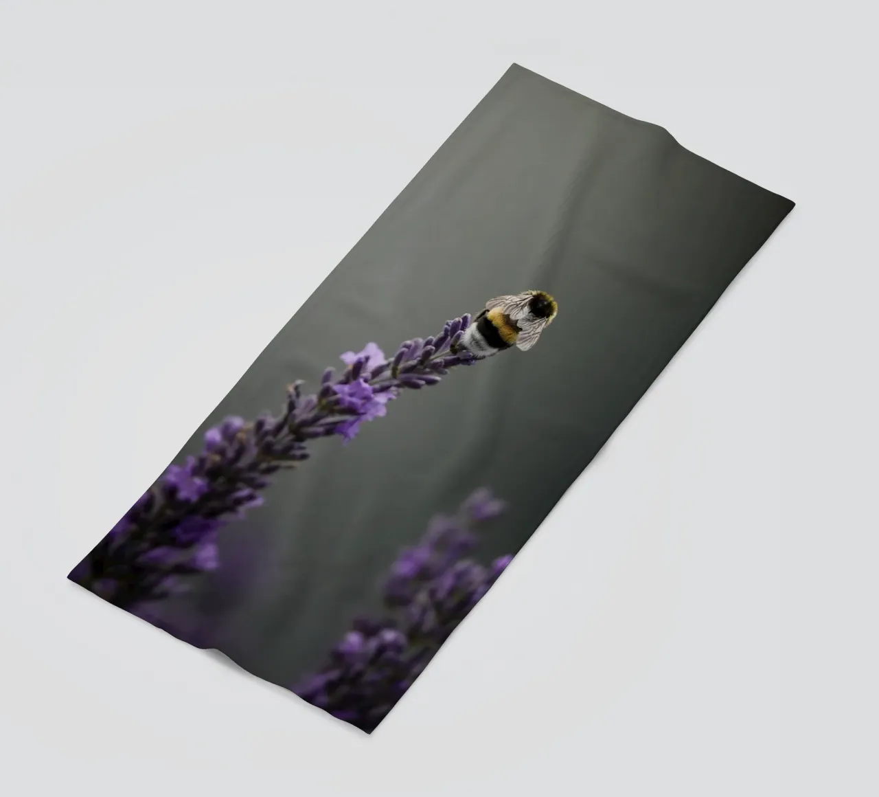 Bumblebee telo mare da Tom's Wildlife