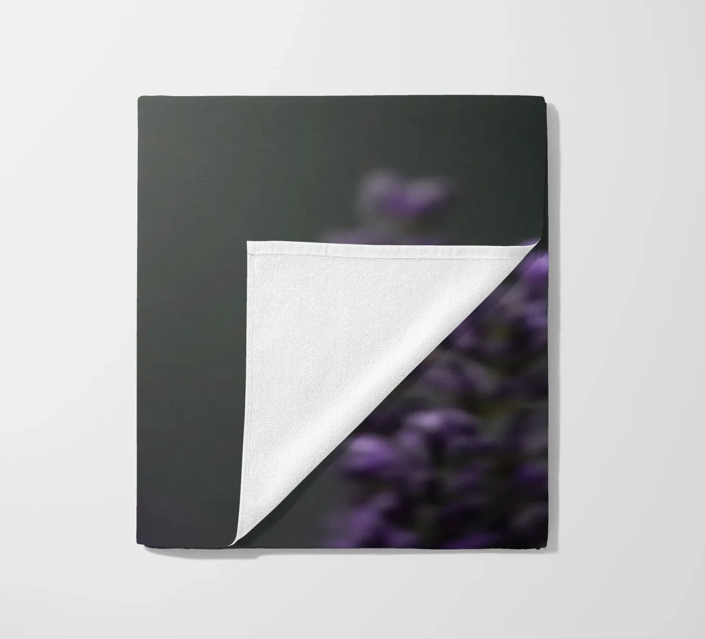 Calabrone telo mare da Tom's Wildlife