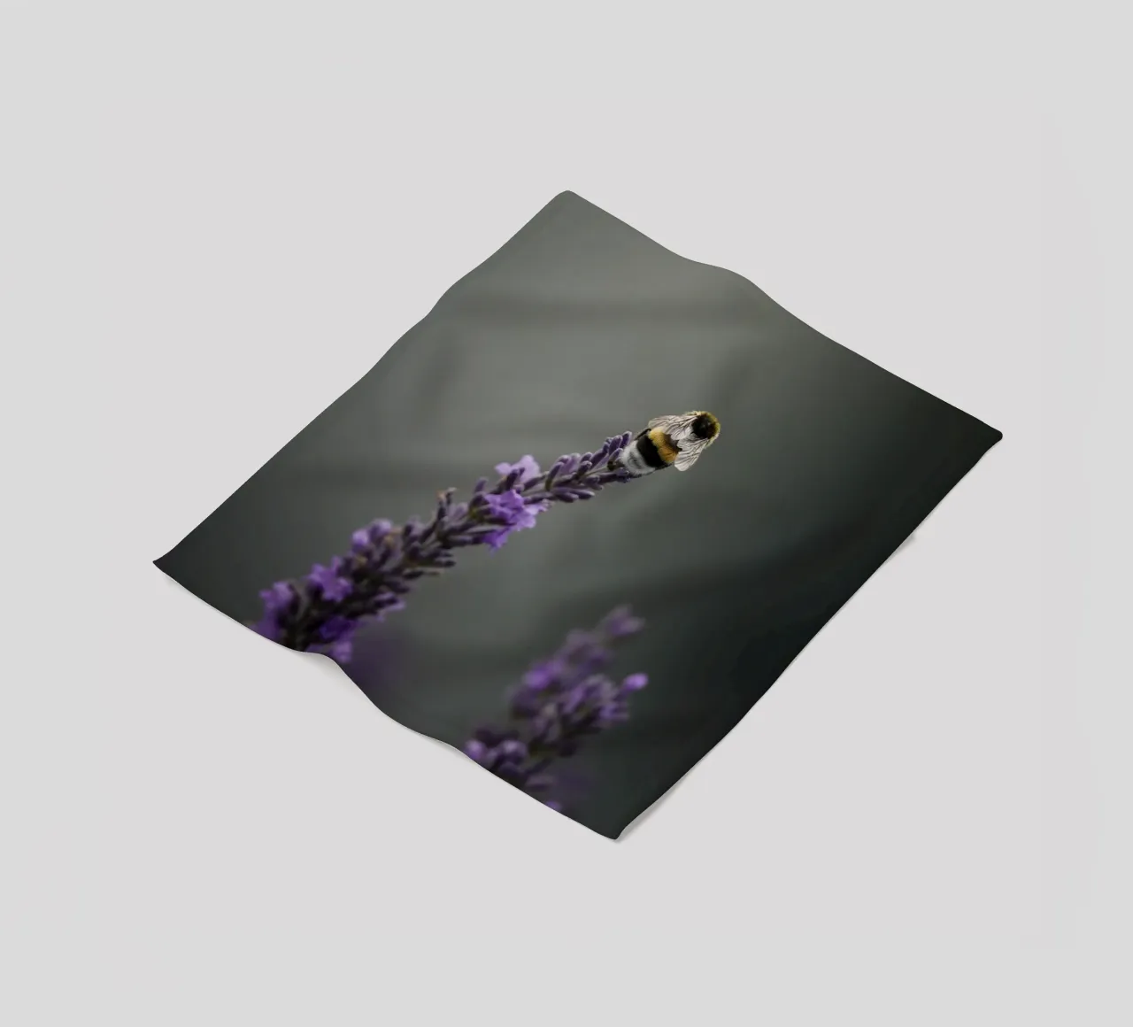 Bumblebee fleece blanket by Tom's Wildlife