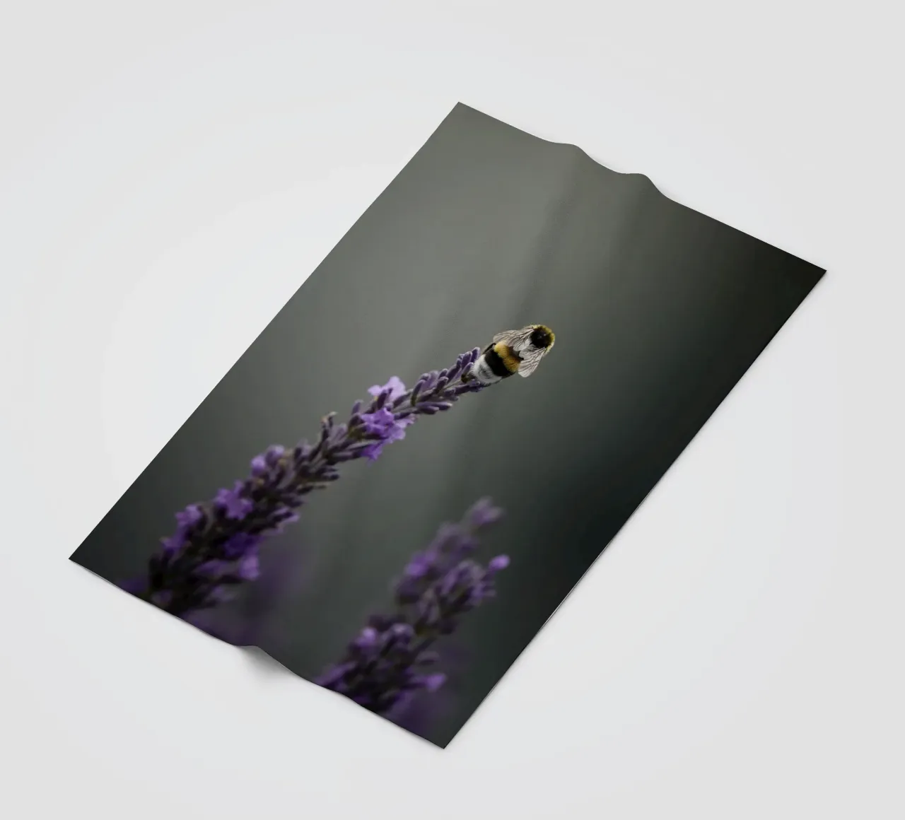 Bumblebee fleece blanket by Tom's Wildlife