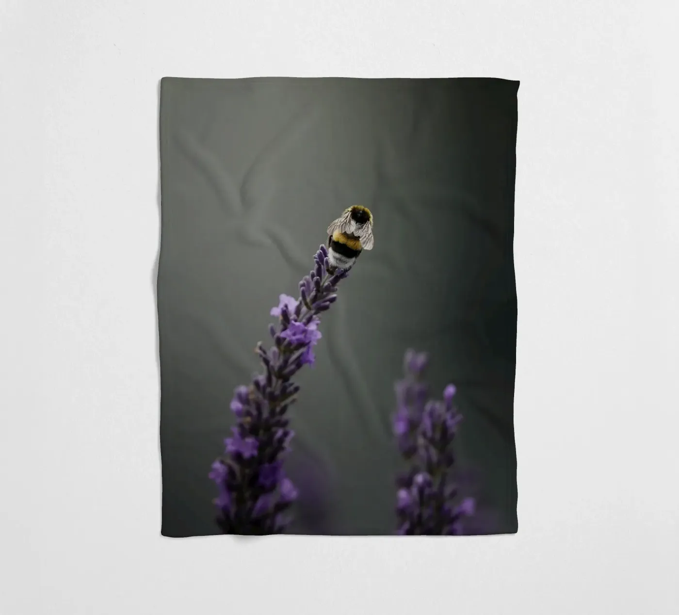 Bumblebee fleece blanket by Tom's Wildlife