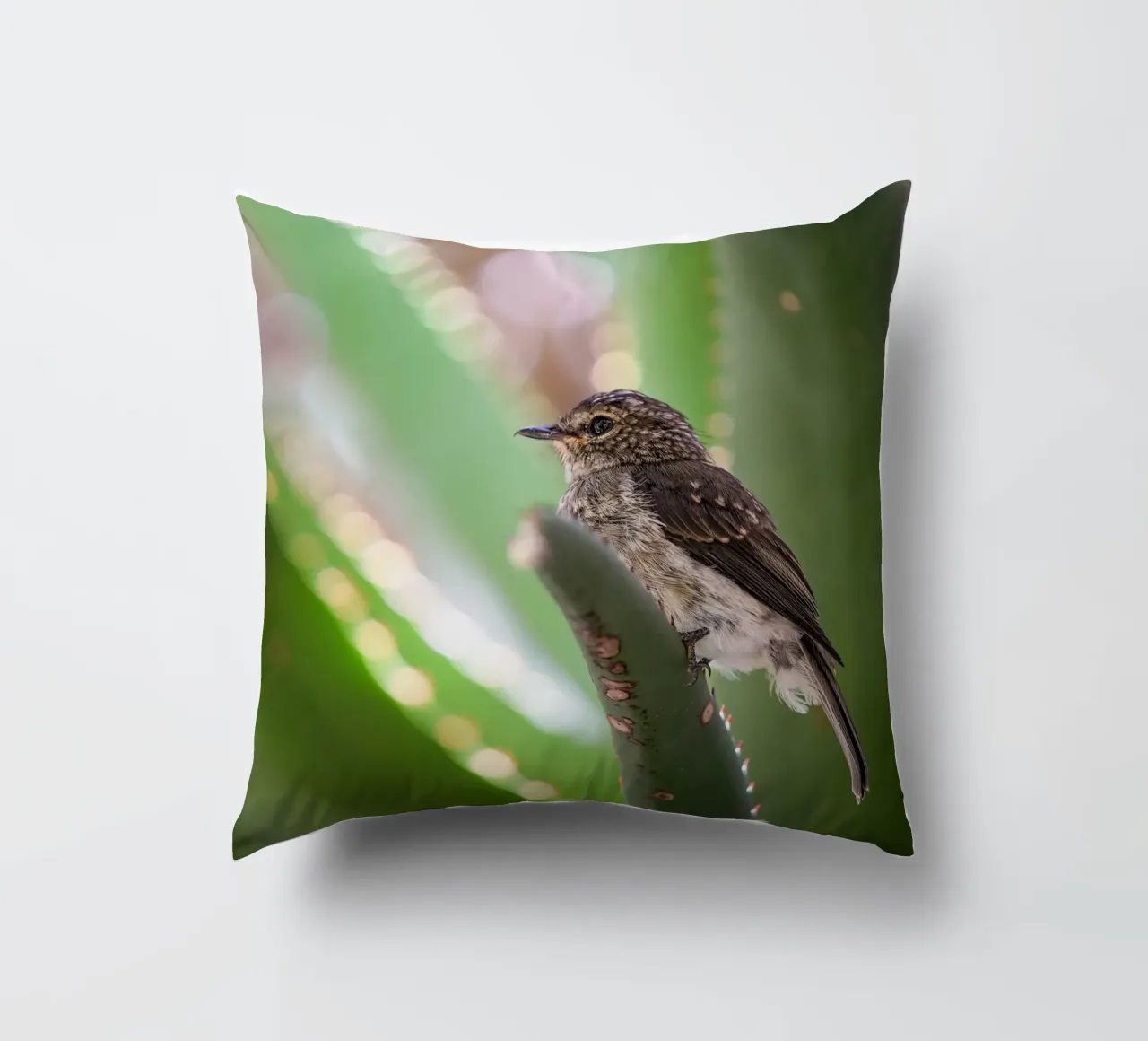 Flycather cuscino da Tom's Wildlife