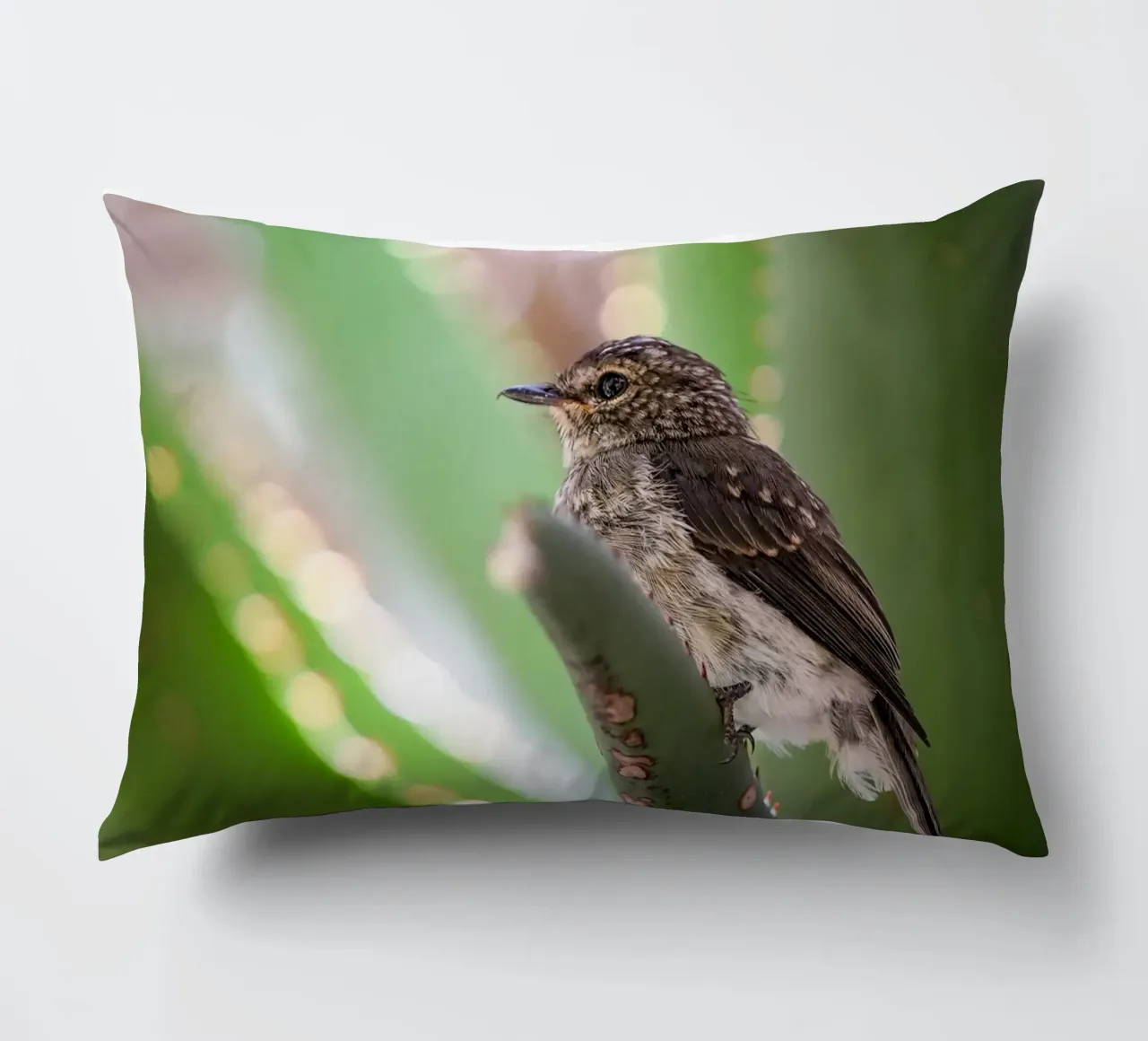 Flycather cuscino da Tom's Wildlife