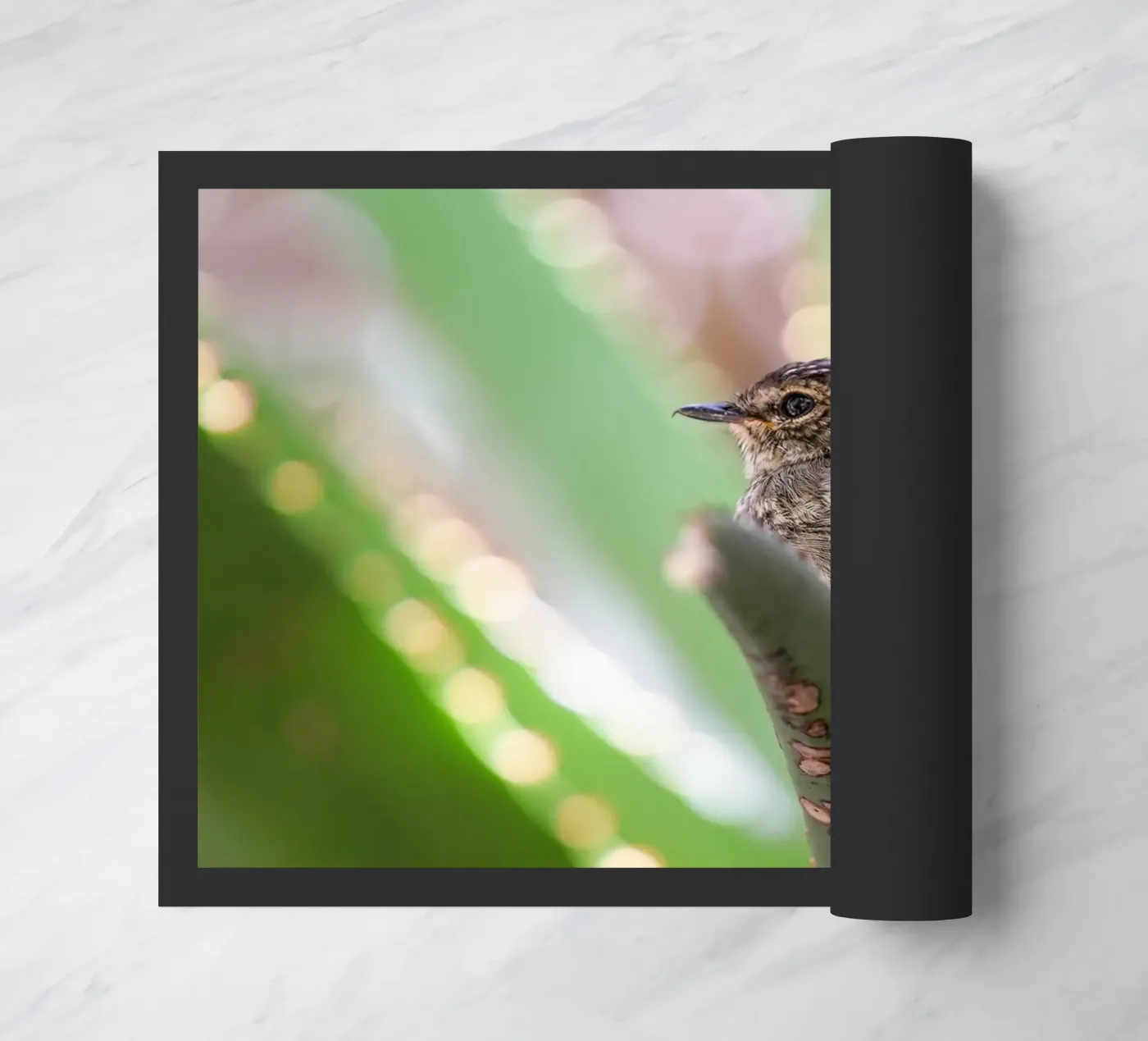 Flycather doormat by Tom's Wildlife