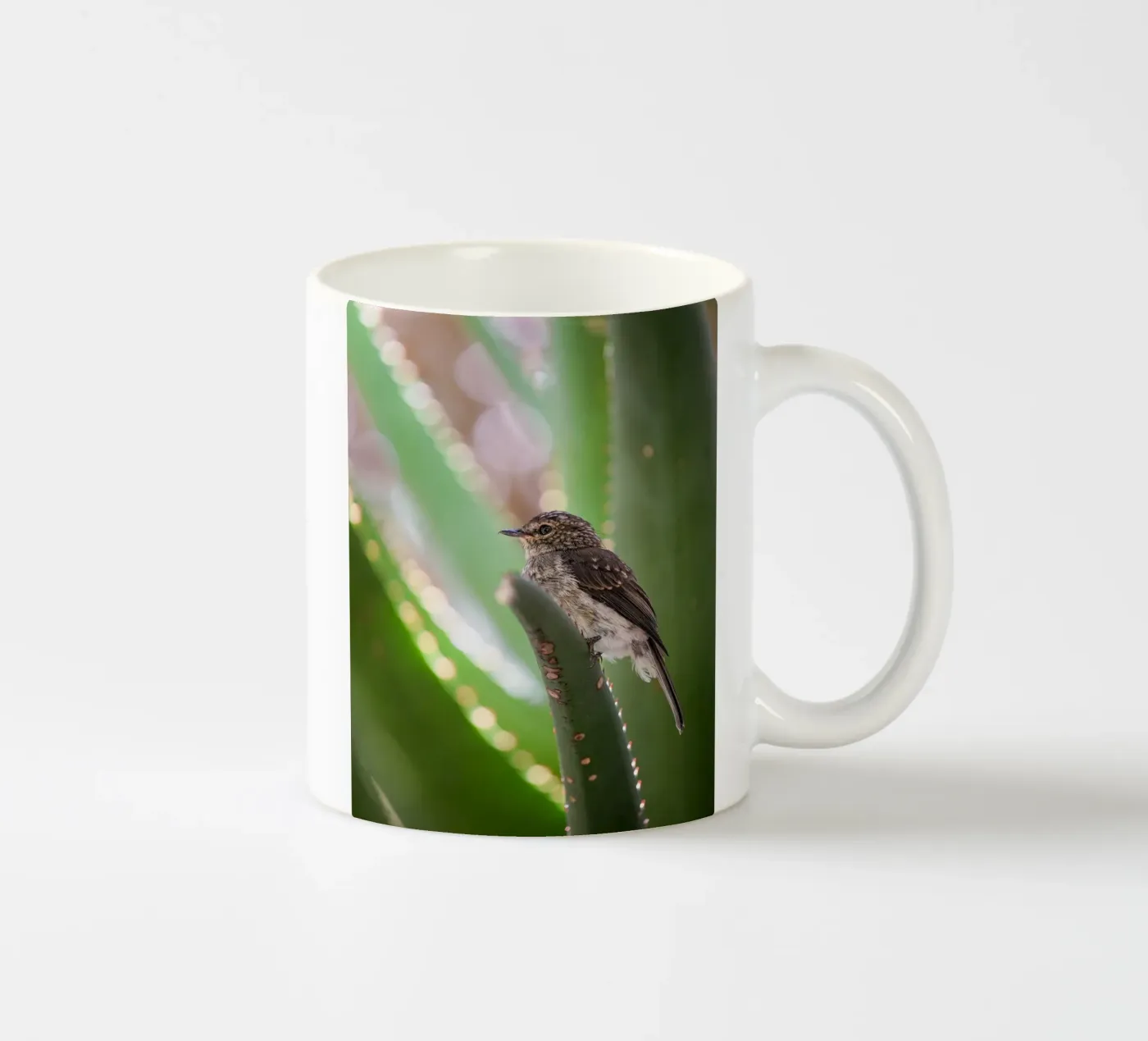 Flycather ceramic mug by Tom's Wildlife
