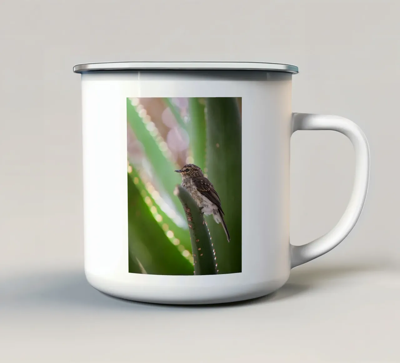 Flycather tazza in smalto da Tom's Wildlife
