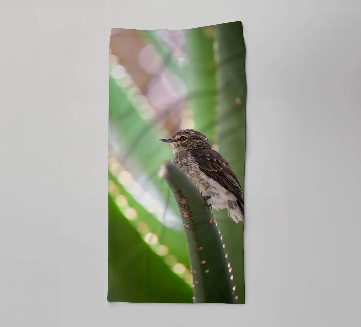 Flycather Handtuch von Tom's Wildlife